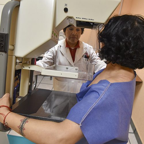 Entre 10 y 12 mujeres mueren al día en México por cáncer de mama
