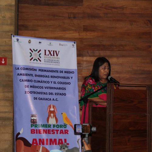 Bienestar de animales se logra con cuidados y tenencia responsable: Victoria Cruz Villar