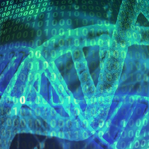 Desarrollan una nueva técnica para corregir la mayoría de las mutaciones del ADN