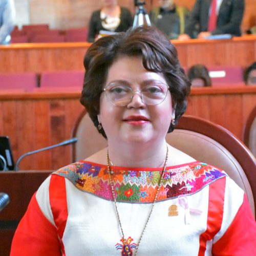 Es deber de los diputados estar al pendiente de necesidades y proyectos de Oaxaca: Aurora López Acevedo