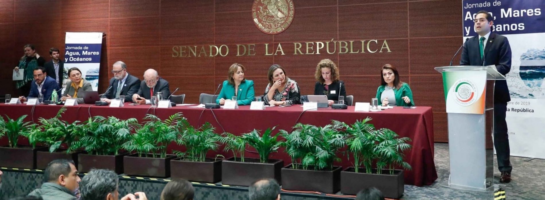 EL COMBATE A LA CONTAMINACIÓN DE MARES Y OCÉANOS NO DISTINGUE COLORES NI PARTIDOS: Raúl Bolaños Cacho Cué