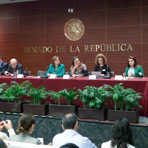 EL COMBATE A LA CONTAMINACIÓN DE MARES Y OCÉANOS NO DISTINGUE COLORES NI PARTIDOS: Raúl Bolaños Cacho Cué