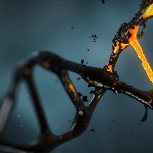 Científicos crean nueva técnica para modificar el ADN
