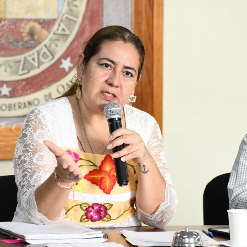 Se equivoca el Gobierno del Estado impulsando el cobro de nuevos impuestos: María de Jesús Mendoza Sánchez