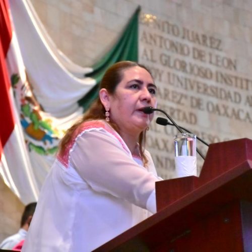 Violencia contra las mujeres, código de ética y rendición de cuentas, prioridades de María de Jesús Mendoza Sánchez