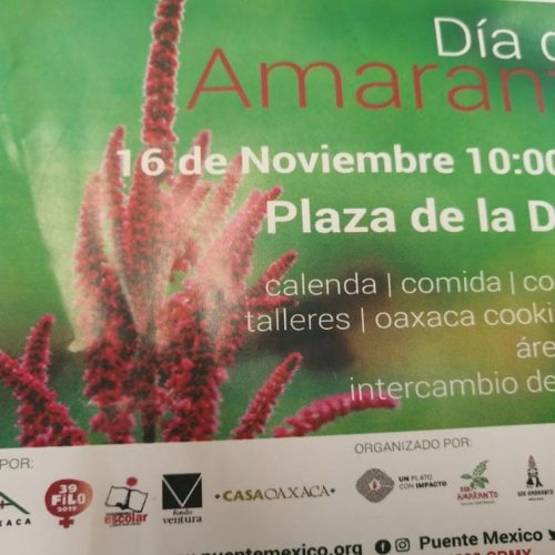 Celebrarán en Oaxaca el Día del Amaranto