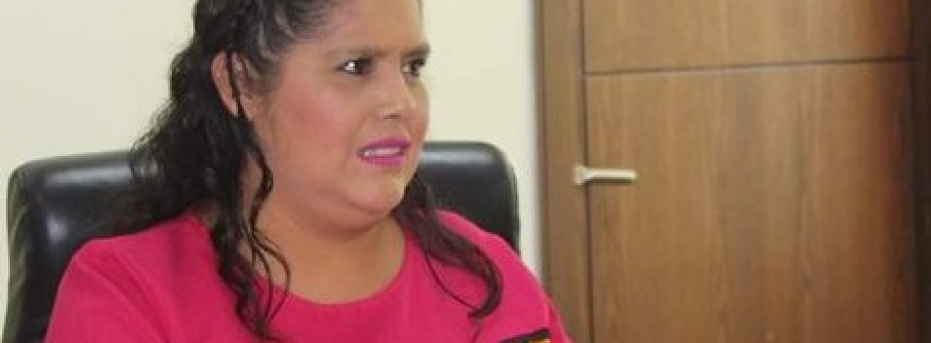 La capital no está lista para parquímetros: Laura Estrada Mauro