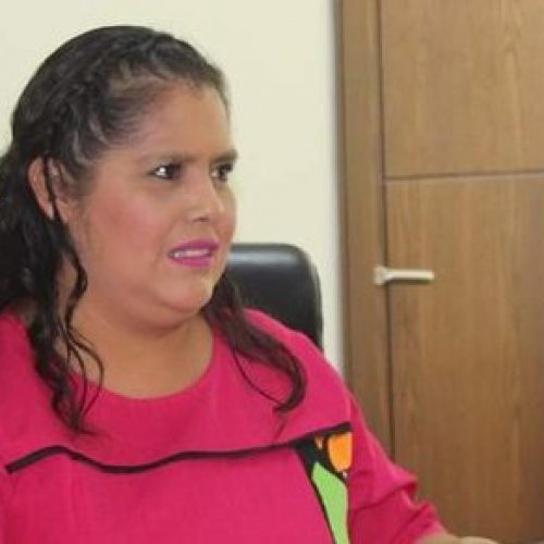 La capital no está lista para parquímetros: Laura Estrada Mauro