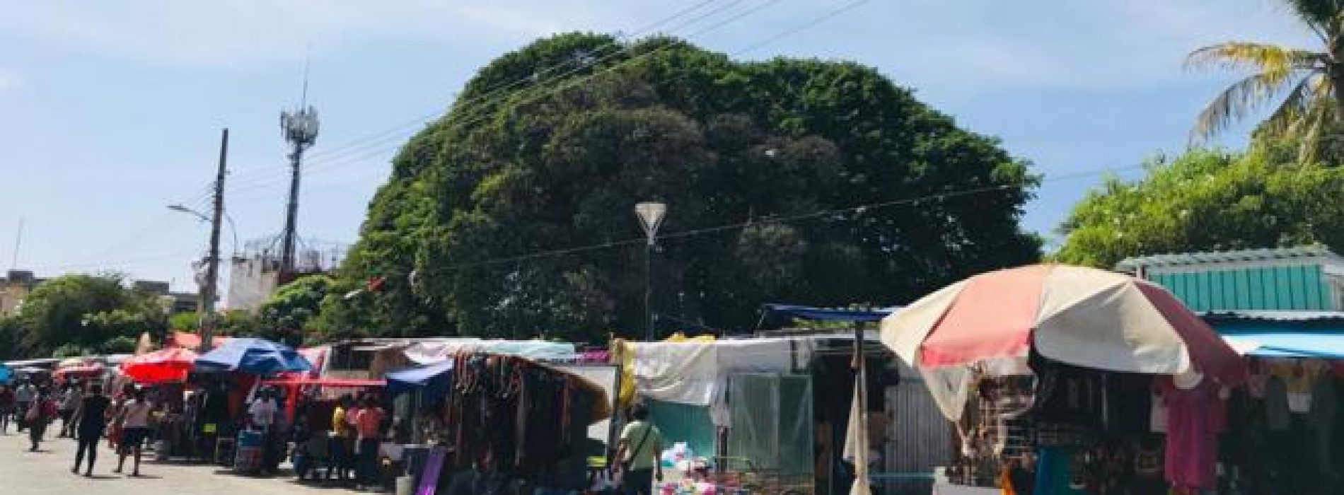 Abrirán mercado de Juchitán tras su reconstrucción