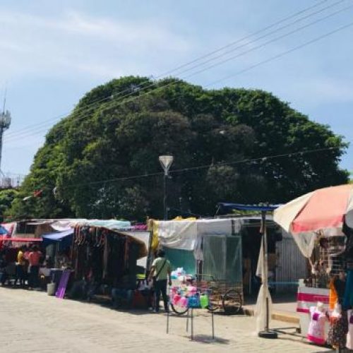 Abrirán mercado de Juchitán tras su reconstrucción