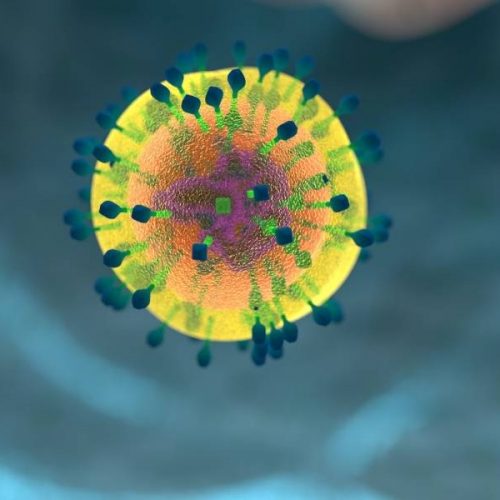 Virus del sarampión “borra” memoria del sistema inmunológico en los niños