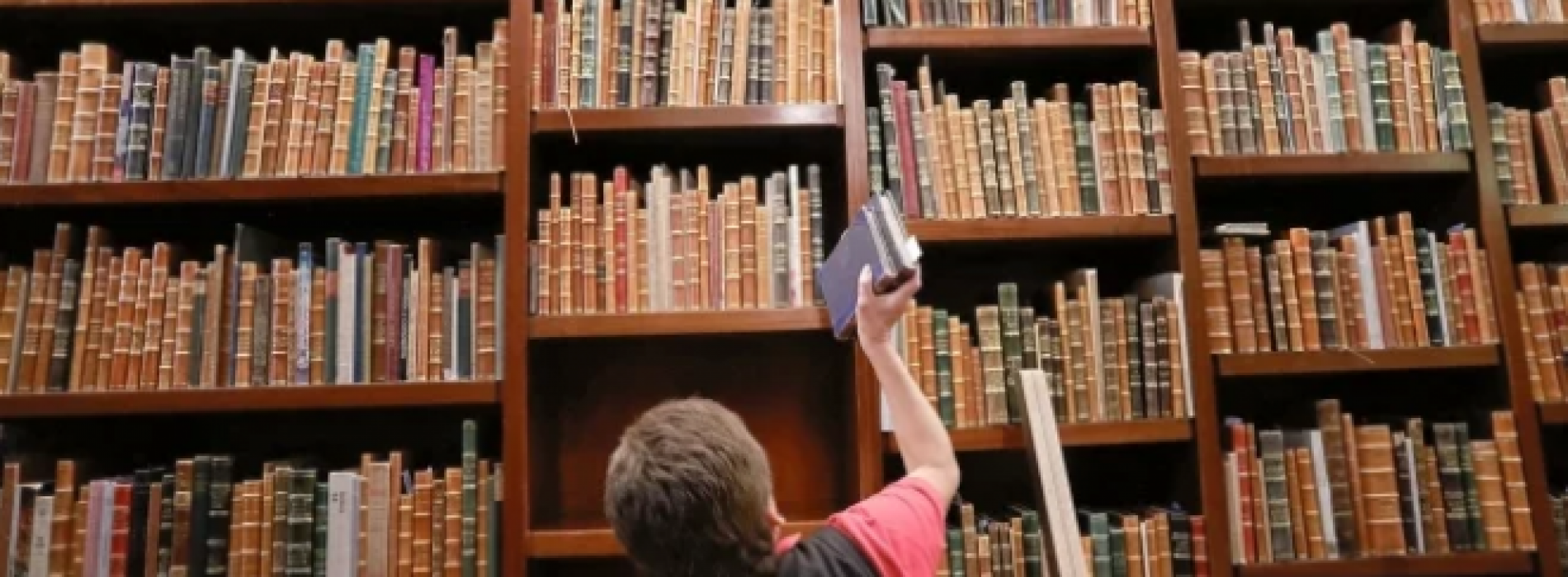 Senadora de morena va por reformas para bibliotecas