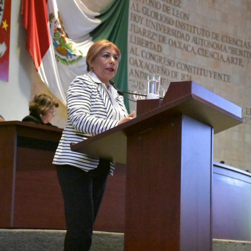 Entregamos a nuestros pueblos y comunidades, Ley de Consulta Indígena y Afromexicana: Hilda Luis