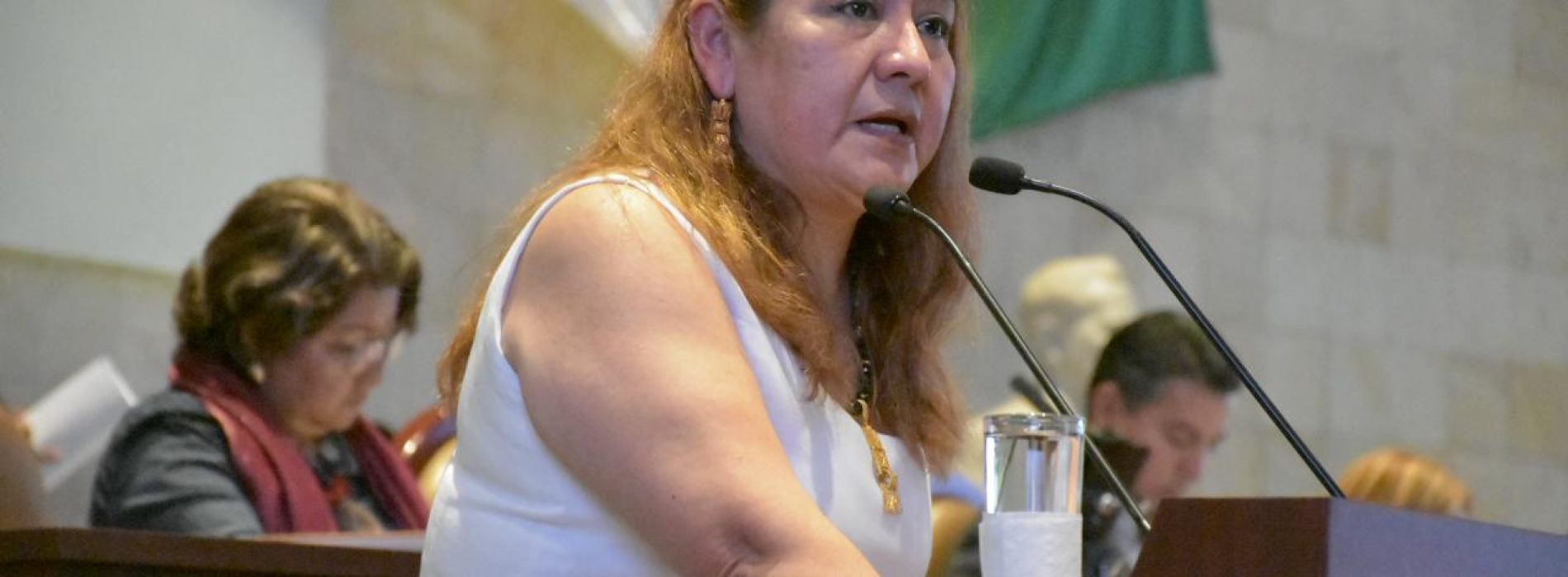Pide María de Jesús Mendoza Sánchez que servidores públicos comparezcan antes de la aprobación del presupuesto de egresos.