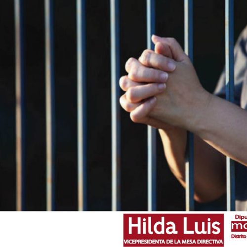 Urge otorgar Amnistía a mujeres criminalizadas por decidir sobre sus cuerpos: Hilda Luis