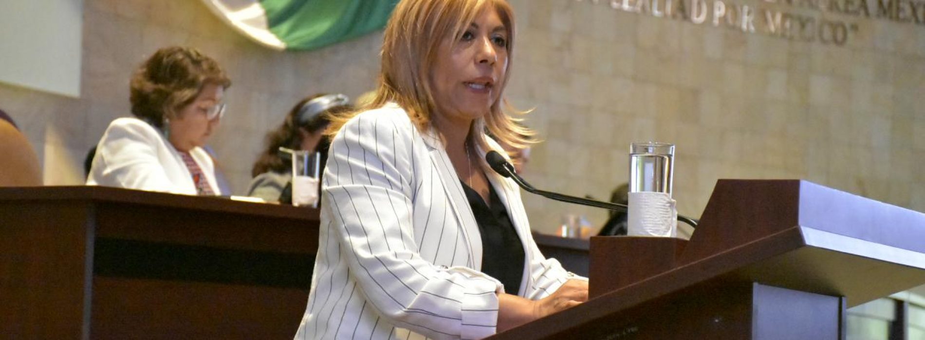 Prohibir el uso indebido de imágenes de niñas y niños en campañas electorales: Hilda Luis