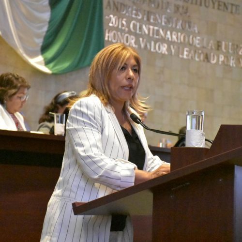 Prohibir el uso indebido de imágenes de niñas y niños en campañas electorales: Hilda Luis