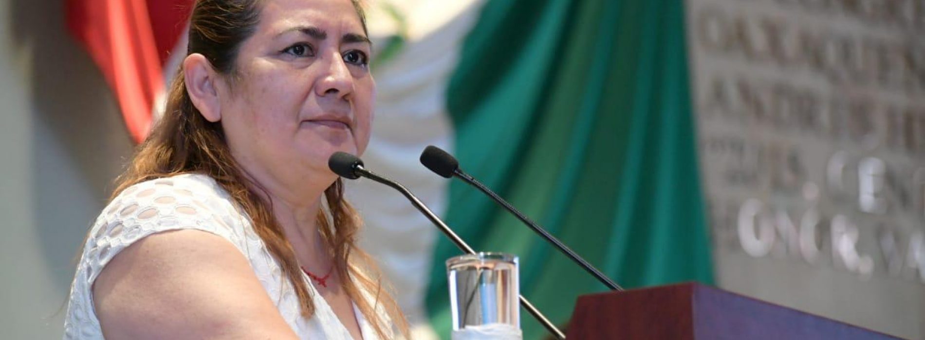 Pide María de Jesús Mendoza Sánchez que congreso de Oaxaca no sancione a mujeres que participen en “Un día sin Nosotras”
