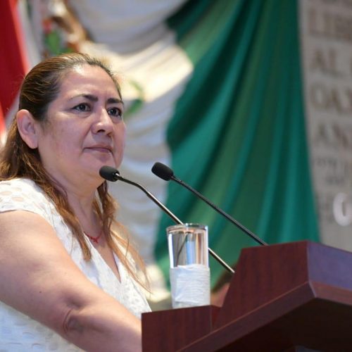 Pide María de Jesús Mendoza Sánchez que congreso de Oaxaca no sancione a mujeres que participen en “Un día sin Nosotras”