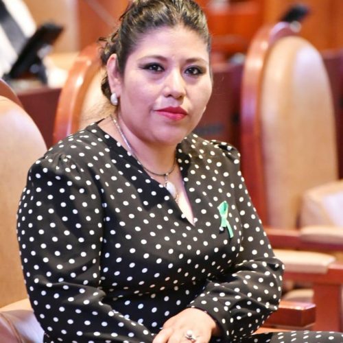Busca Diputada Magaly López romper brecha salarial entre mujeres y hombres en Oaxaca