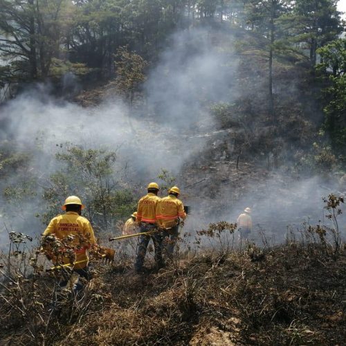 Solicita Gobierno del Estado declaratoria de emergencia para nueve municipios afectados por incendios forestales