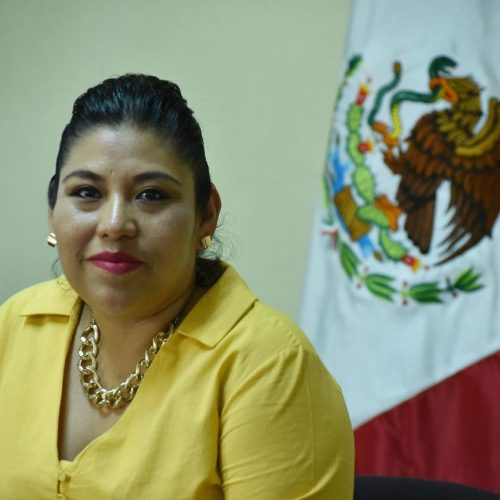 Derechos Humanos deben garantizarse en contingencia sanitaria: Magaly López