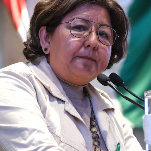 Medidas preventivas por Covid -19 en municipios no deben vulnerar derechos de la ciudadanía: Diputada Inés Leal Peláez