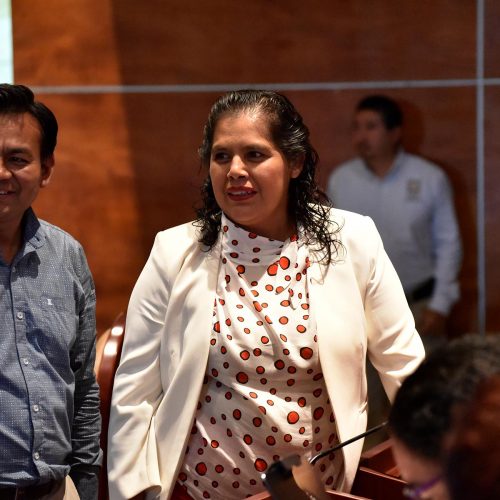 Proponen hacer obligatorias auditorías ambientales en Oaxaca