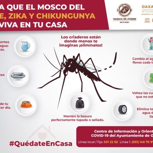 Llama Ayuntamiento de Oaxaca a sanear hogares para evitar el dengue