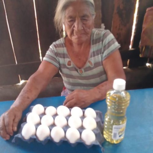 Lleva Pepe Estefan Gillessen comida a hogares de Tehuantepec