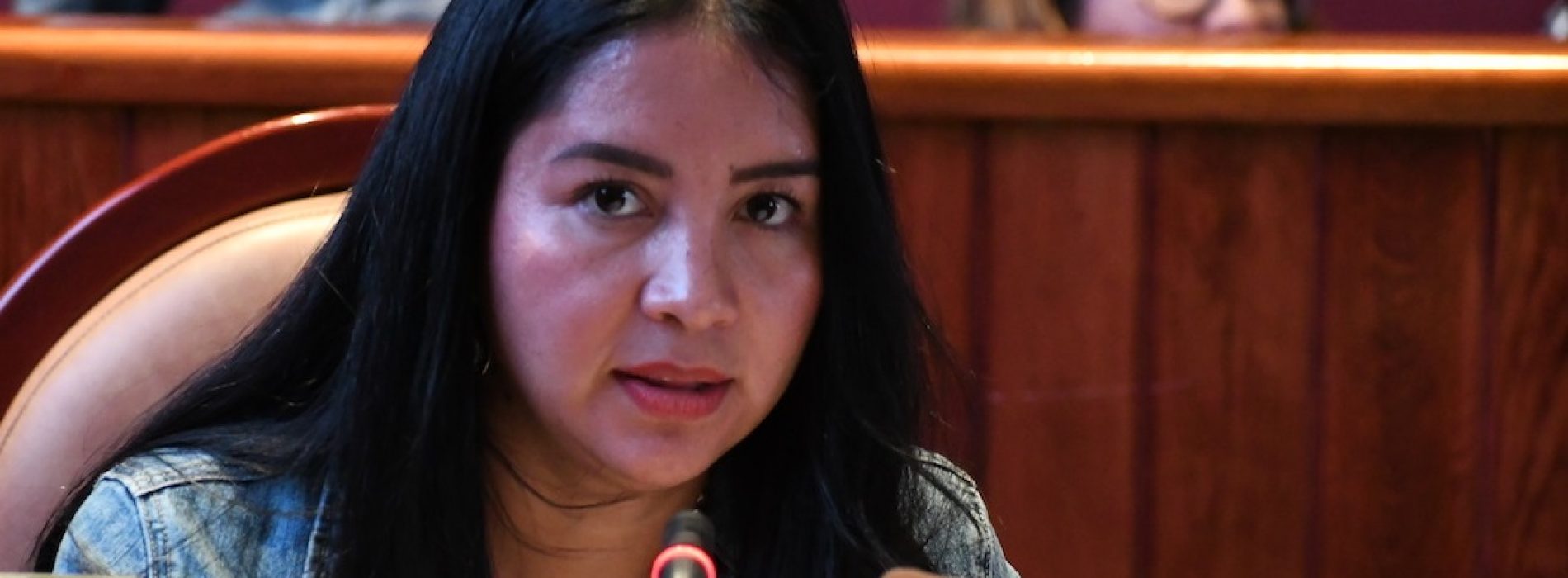 Congreso sin bajar la guardia en defensa de los derechos de las mujeres, Elisa Zepeda