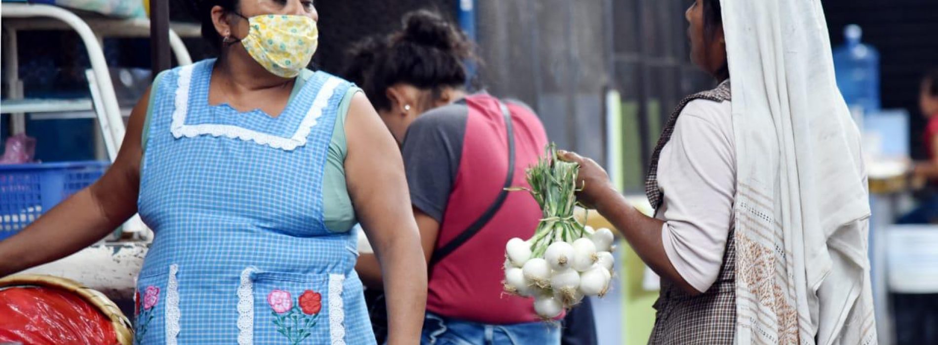 Urge diputada campaña en lenguas indígenas para contener COVID 19