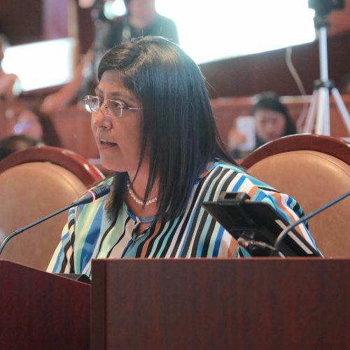 Pide diputada Victoria Cruz Villar transparencia en aplicación de recursos en la rehabilitación de la Central de Abasto