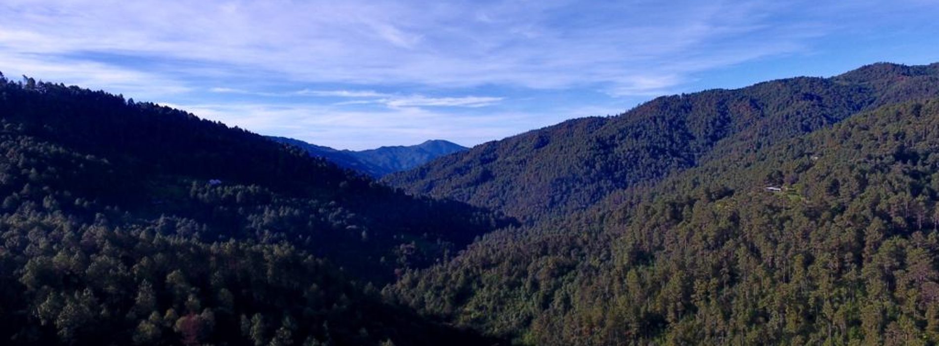 Celebra Oaxaca el Día de la Riqueza Natural