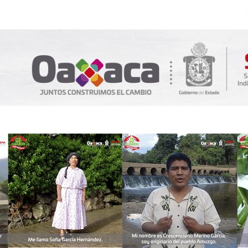 Pueblos de Oaxaca, hacen un llamado a la ciudadanía oaxaqueña a quedarse en casa