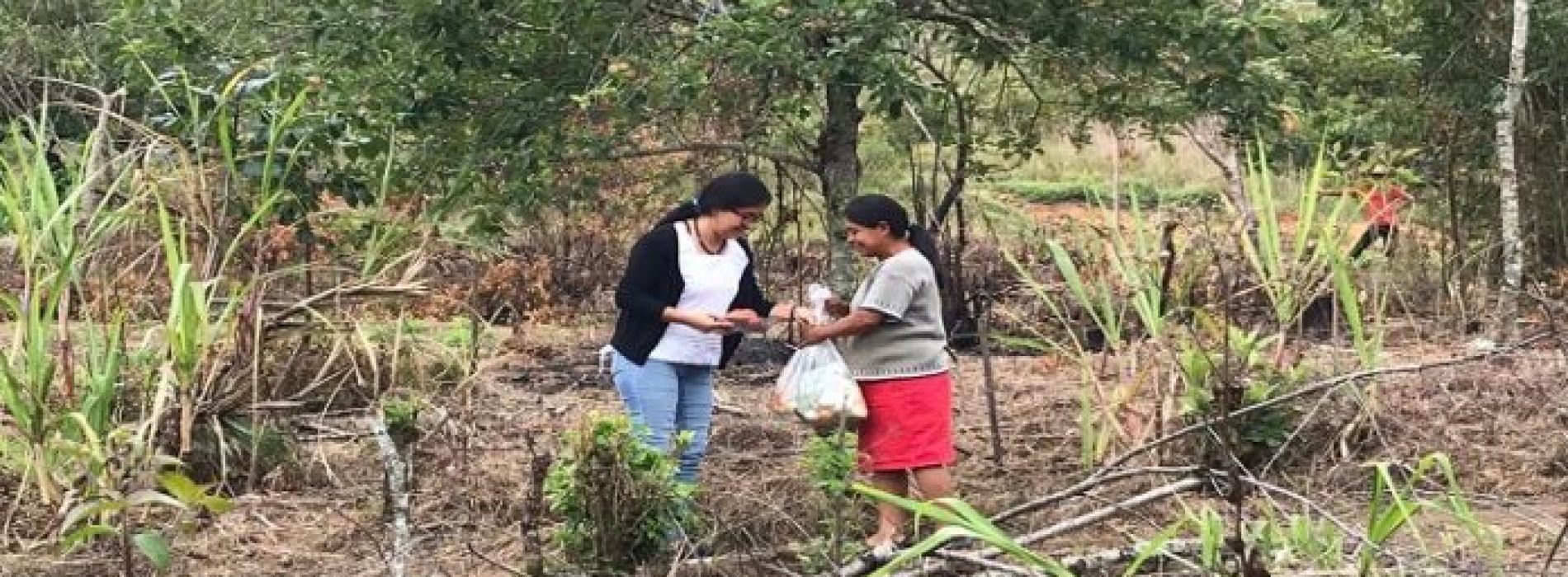 Llega la ruta de la esperanza a la Sierra Mazateca