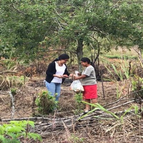 Llega la ruta de la esperanza a la Sierra Mazateca