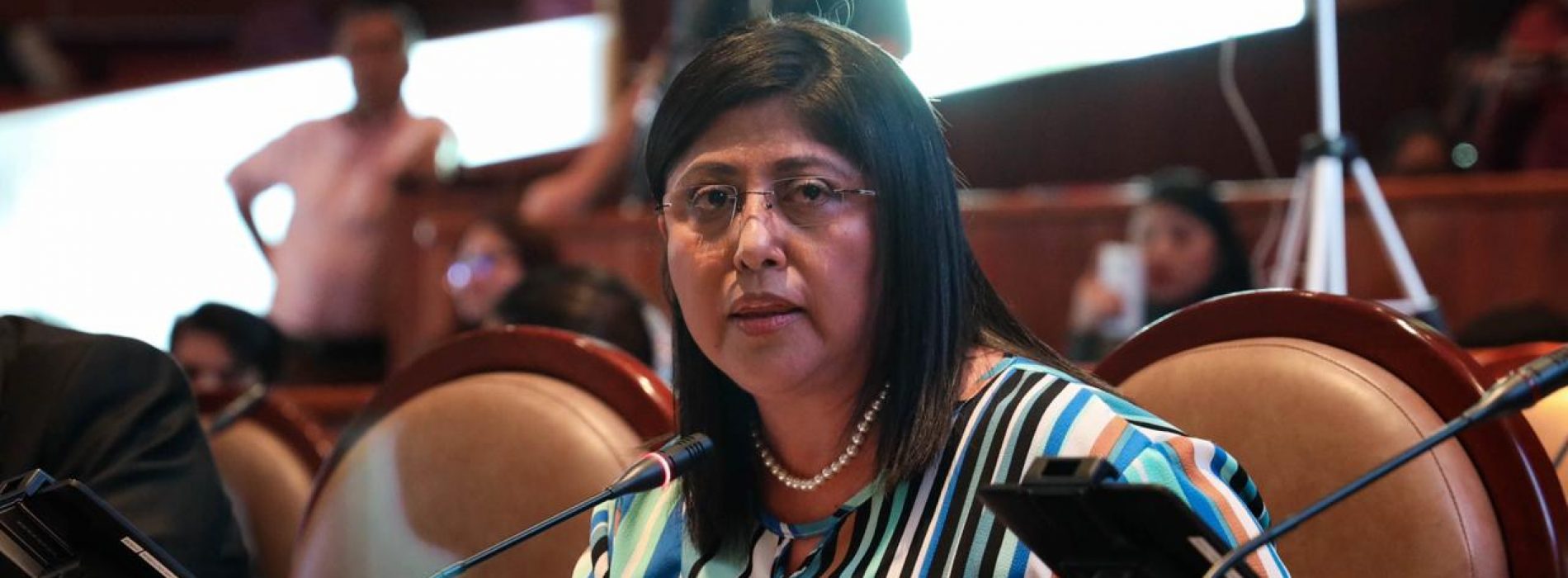 Urge proteger, salvaguardar y dar certeza jurídica al patrimonio artesanal de las y los oaxaqueños: Victoria Cruz Villar