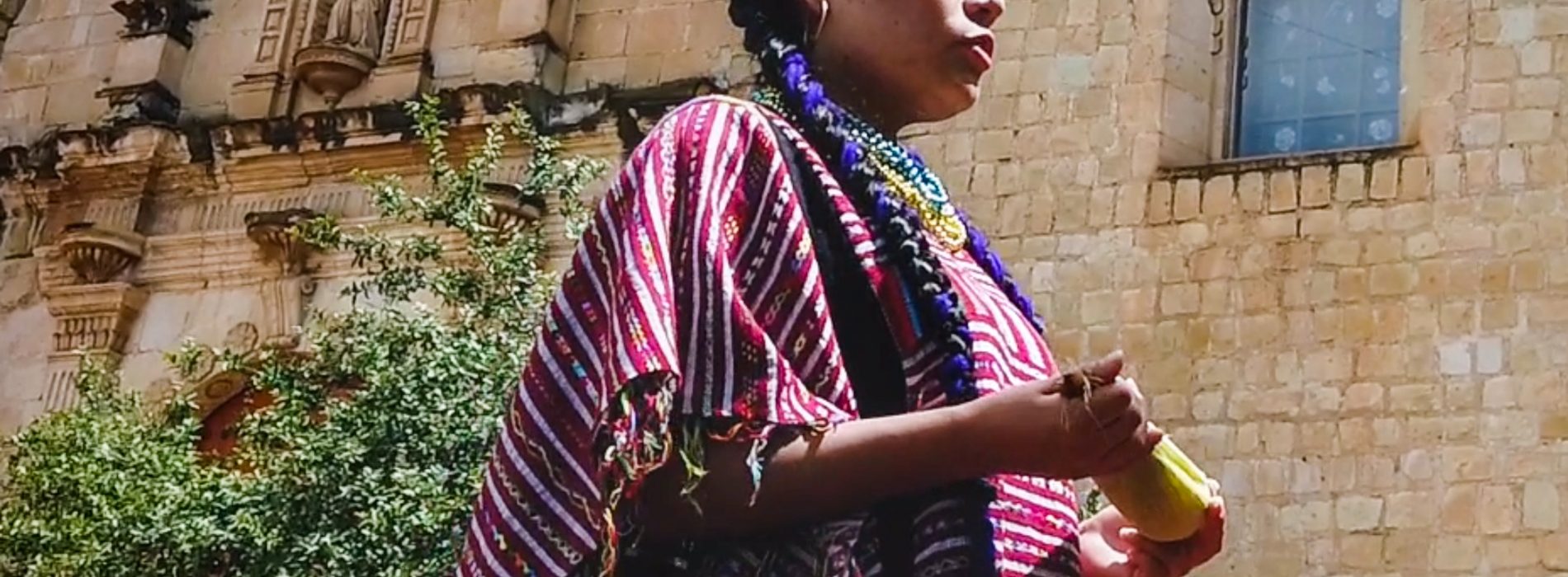 Pueblos indígenas, guardianes de la diversidad de Oaxaca: Sepia