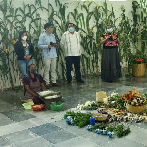 Solicita diputado Horacio Sosa a gobiernos estatal y municipal políticas públicas para la defensa del maíz nativo