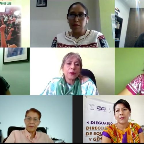 Congreso de Oaxaca, impulsor de los derechos reproductivos de la mujer, coinciden panelistas en foro virtual