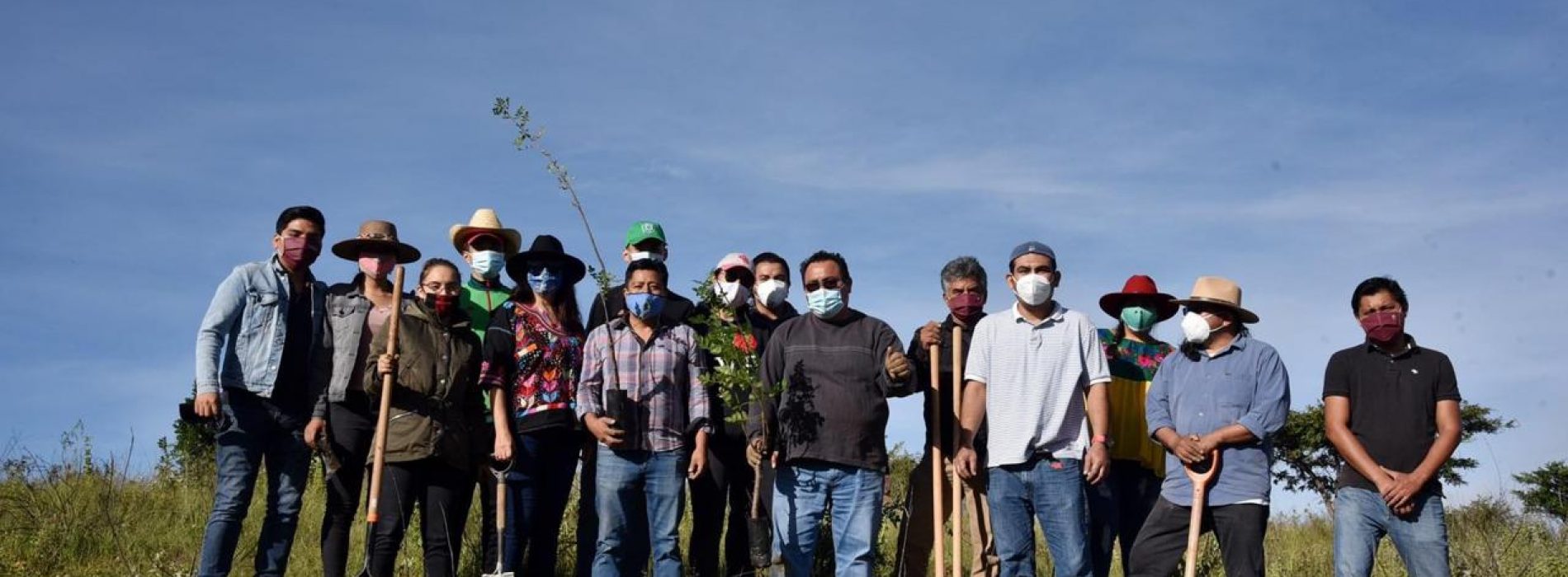 Se pierden en Oaxaca 30 mil hectáreas de bosque al año, comienza Diputado Horacio Sosa jornada de reforestación