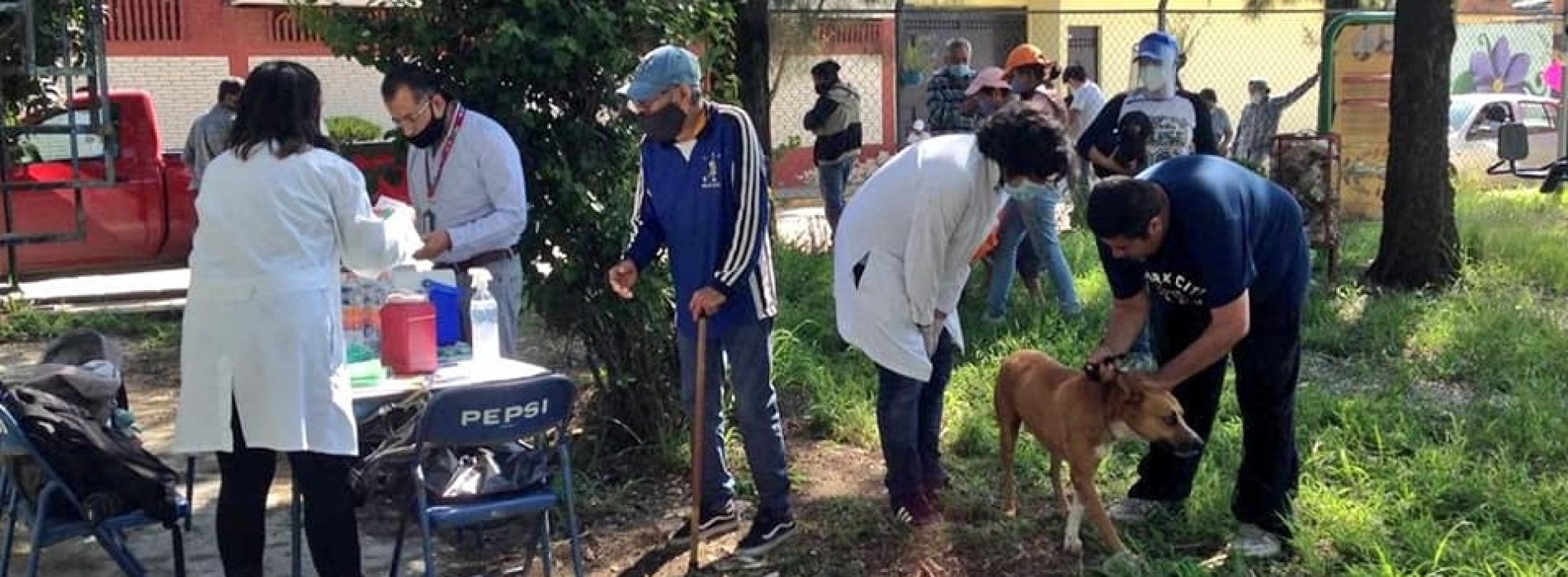Oaxaca cumple 20 años sin Rabia Humana por mordedura de perro: SSO