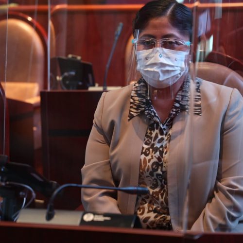 Propone diputada Victoria Cruz Villar reformar la Ley de Turismo del Estado
