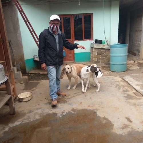 Mantiene Ayuntamiento de Oaxaca atención oportuna a denuncias por maltrato animal