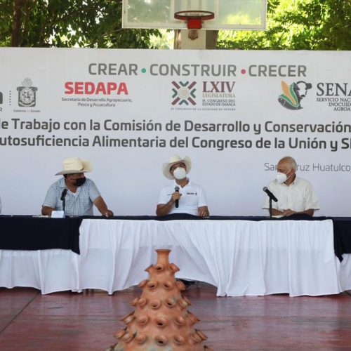 Gobierno de Oaxaca trabaja para hacer crecer la productividad del sector agropecuario