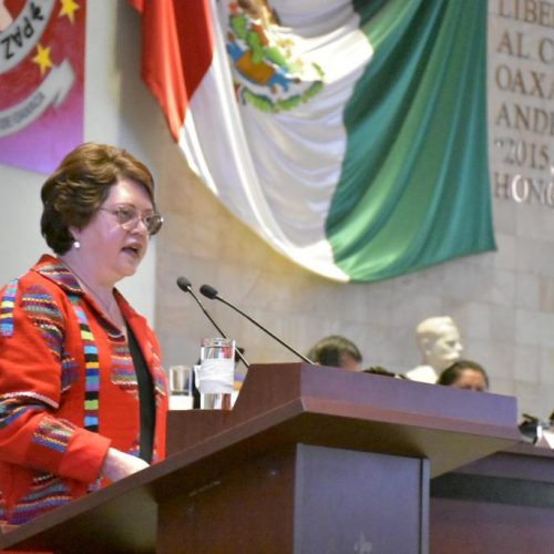 Exhorta diputada Aurora López Acevedo a legisladores federales ser empáticos con los mexicanos