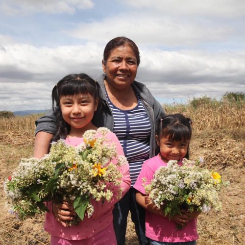 Garantizar la seguridad alimentaria, compromiso del Gobierno de Oaxaca: AMH