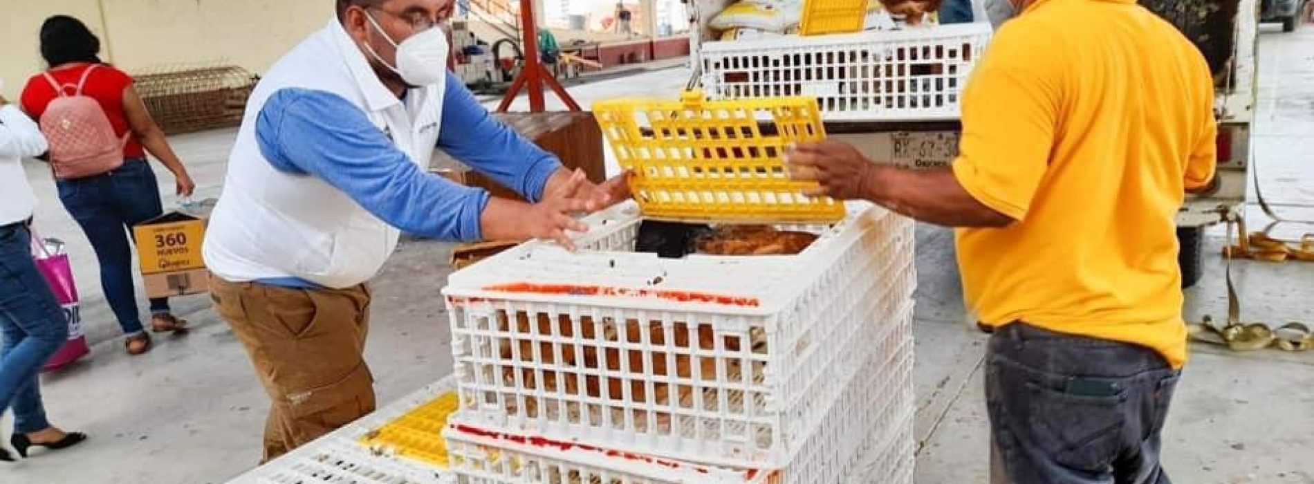 DIF Oaxaca fortalece las Cocinas Comunitarias con entrega de paquetes avícolas en la Cuenca: Christian Holm Rodríguez
