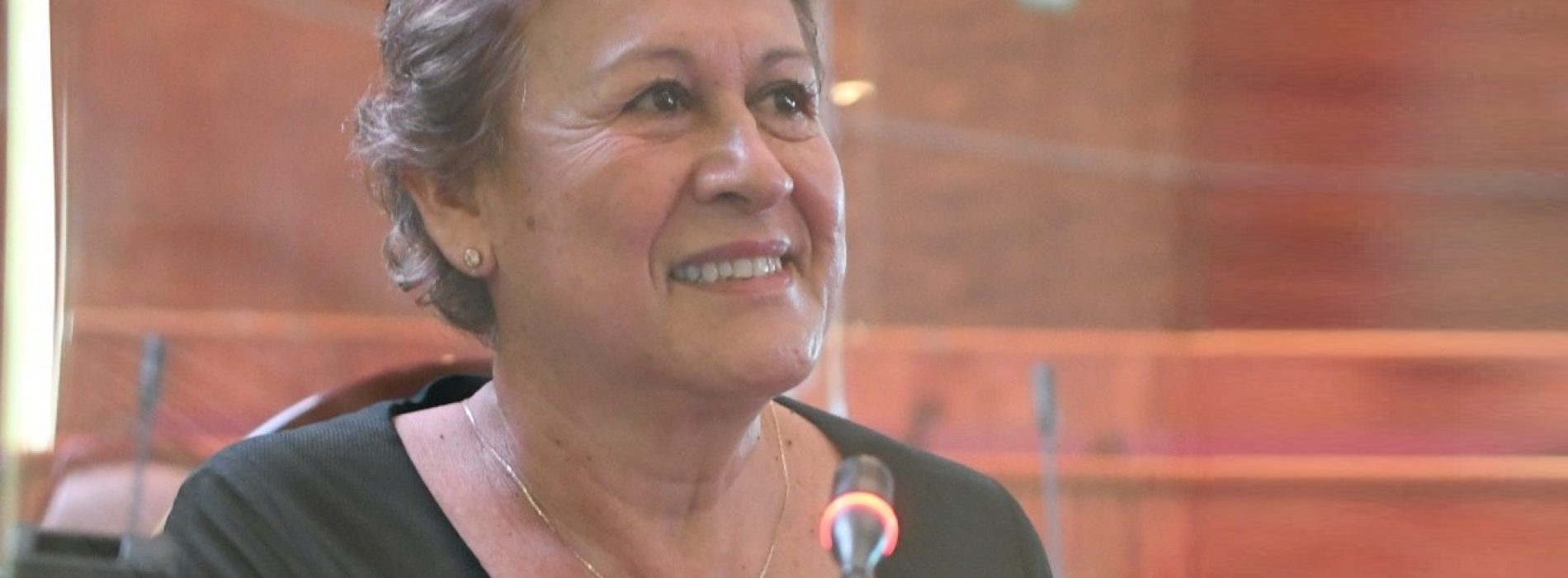 Trabajo parlamentario firme, en consenso y con perspectiva de género: Delfina Guzmán